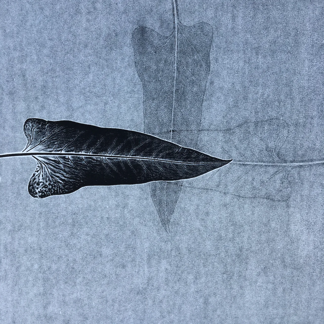 Tender Land monoprint by John Saurer