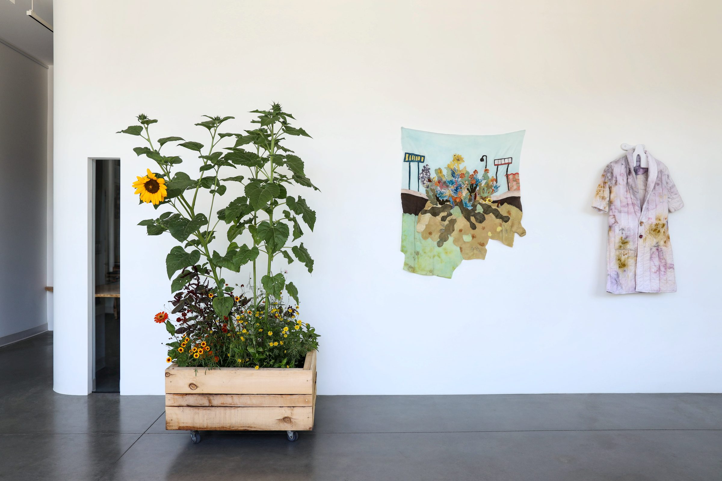 Installation view, What We Make & What We Grow