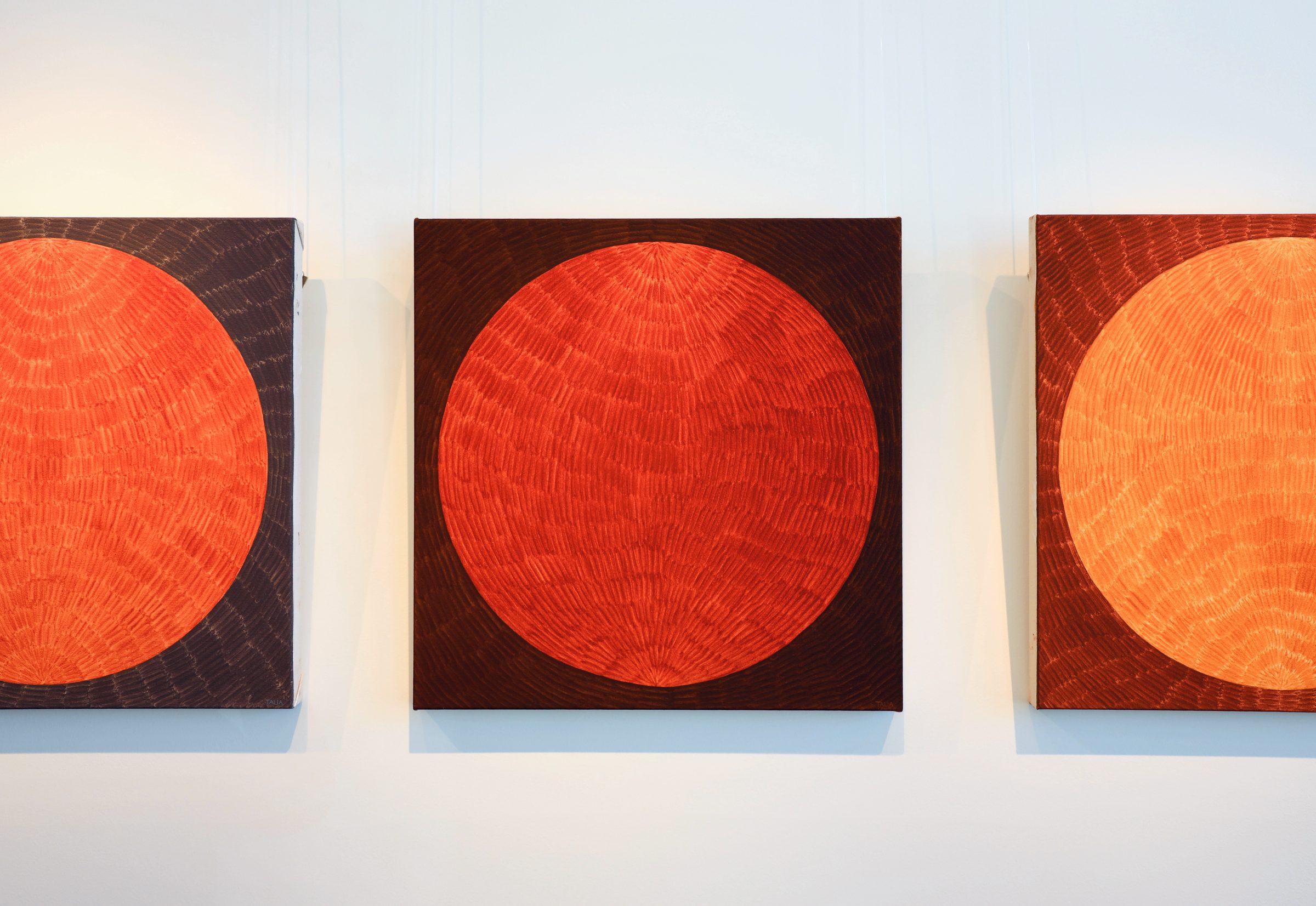 Installation view of A Reflection of the Solar Year in Twelve Full Moons at Echo Arts, Bozeman