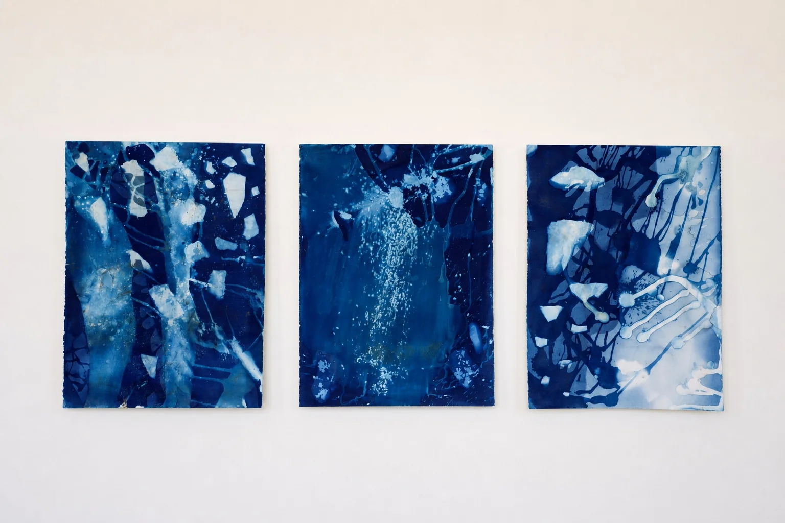 Installation view — Downwaste cyanotypes, Jonathan Marquis